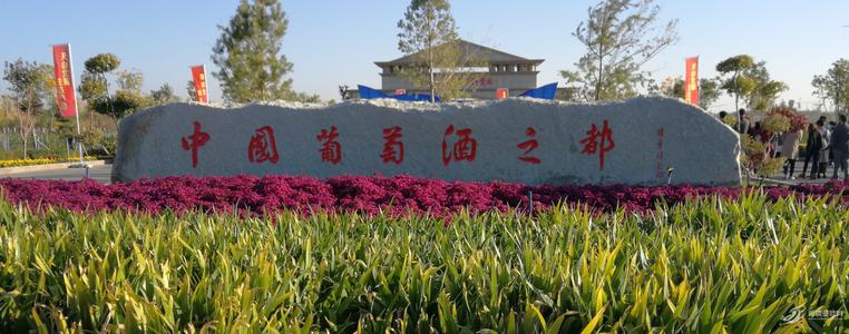 守護“中國葡萄酒之都”， 上百臺優(yōu)測溫設備應用于新疆瑪納斯縣